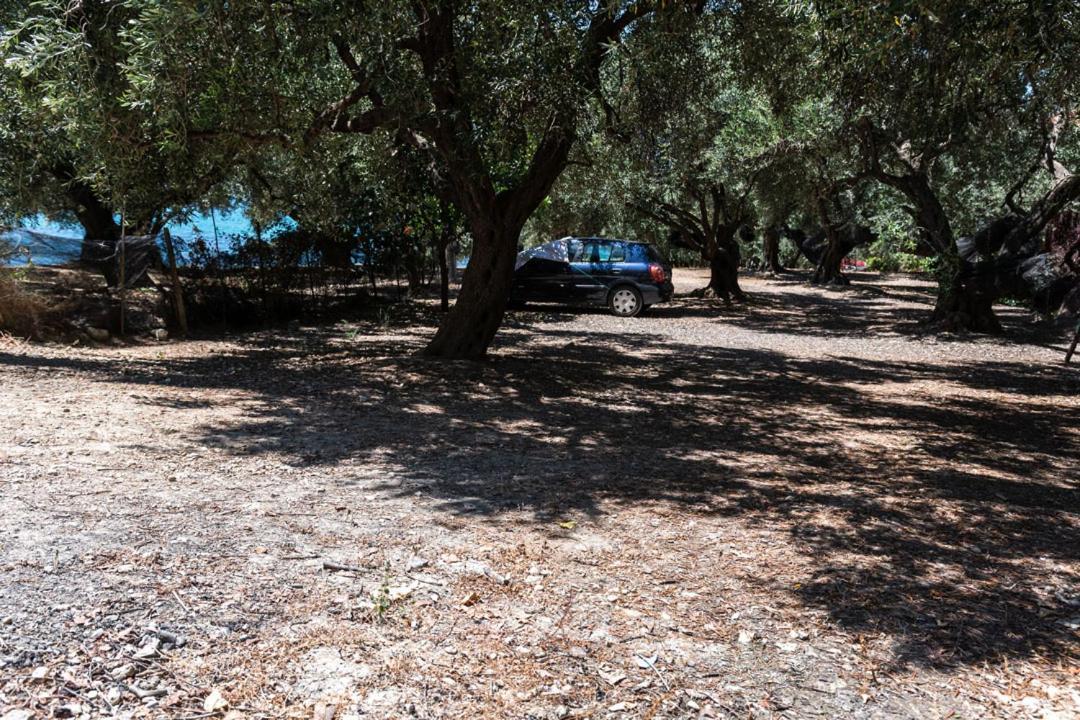 Olive Tree Villa Lygia  Eksteriør bilde