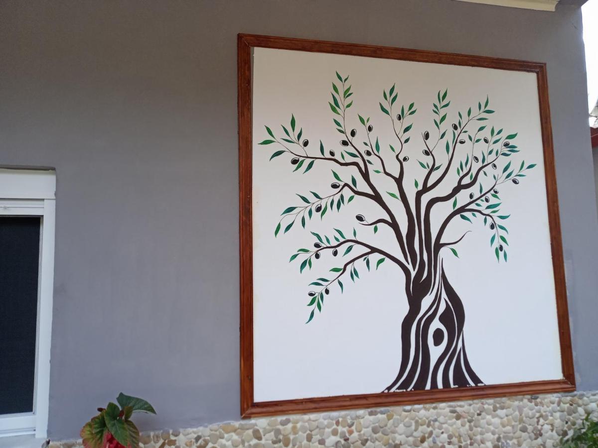 Olive Tree Villa Lygia  Eksteriør bilde